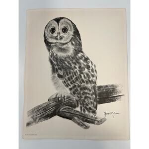 Black & White Owl Poster 1976